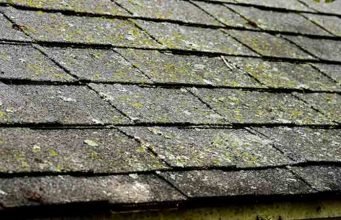 How lichen from roof Tiles, Metal, Cedar & Asphalt Shingles
