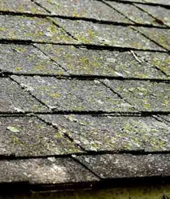 How lichen from roof Tiles, Metal, Cedar & Asphalt Shingles