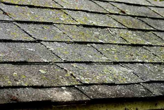 How lichen from roof Tiles, Metal, Cedar & Asphalt Shingles