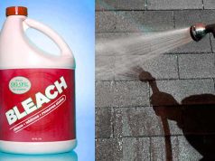 Bleach for roof shingle cleaning, how to use, pros and cons