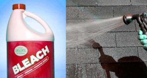 Bleach for roof shingle cleaning, how to use, pros and cons