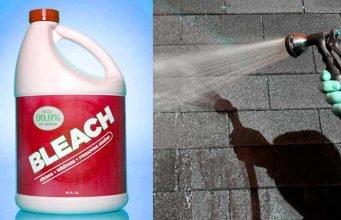 Bleach for roof shingle cleaning, how to use, pros and cons