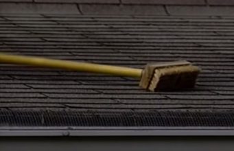 how to clean algae off roof shingles