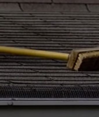 how to clean algae off roof shingles