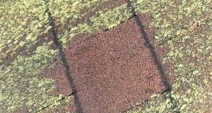 How to pressure wash roof shingle, tiles and metal roofs