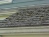 how to remove mold off roof shingles
