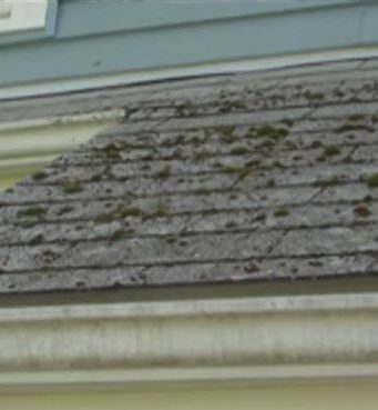 how to remove mold off roof shingles