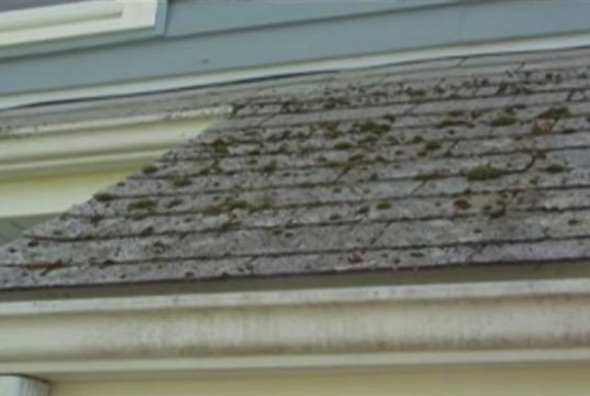 how to remove mold off roof shingles