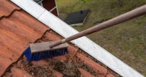 Roof Cleaning brushes/brooms: types, functions & how to choose the best