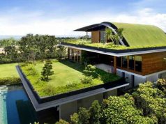 Green roof meaning, types, construction layers, plants &cost