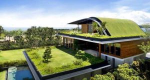 Green roof meaning, types, construction layers, plants &cost