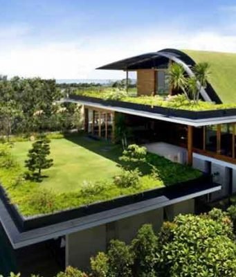 Green roof meaning, types, construction layers, plants &cost