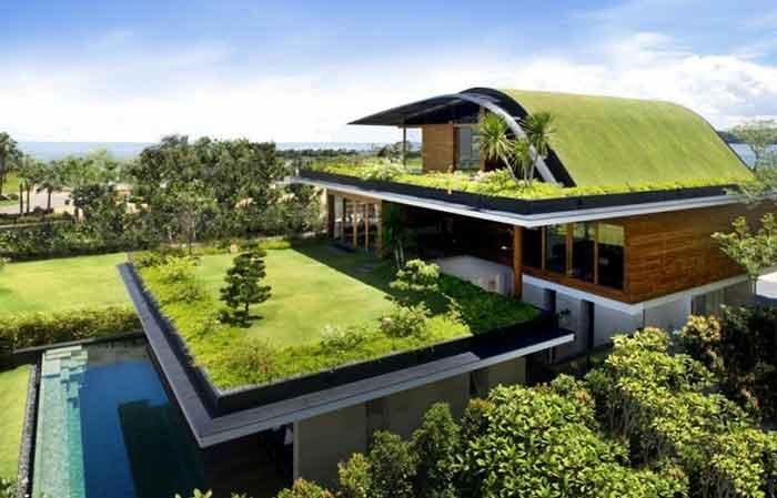 Green roof meaning, types, construction layers, plants &cost