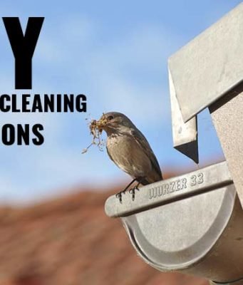 Best Homemade Gutter Cleaning Solutions