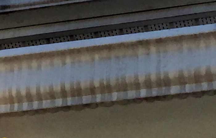 Tiger Black stripes on Roof gutters