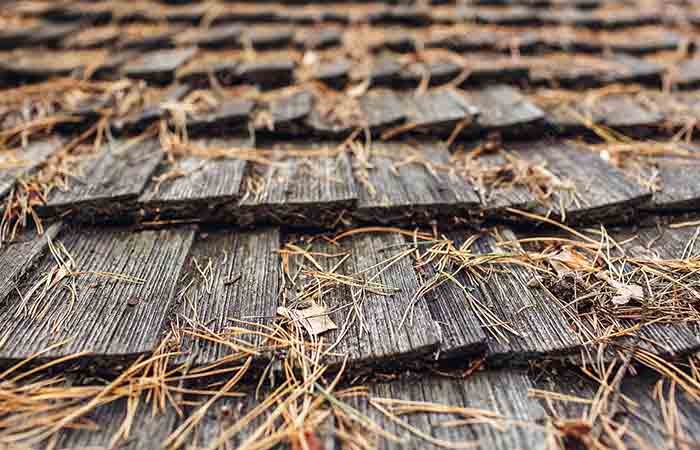 Pine Needles on roof