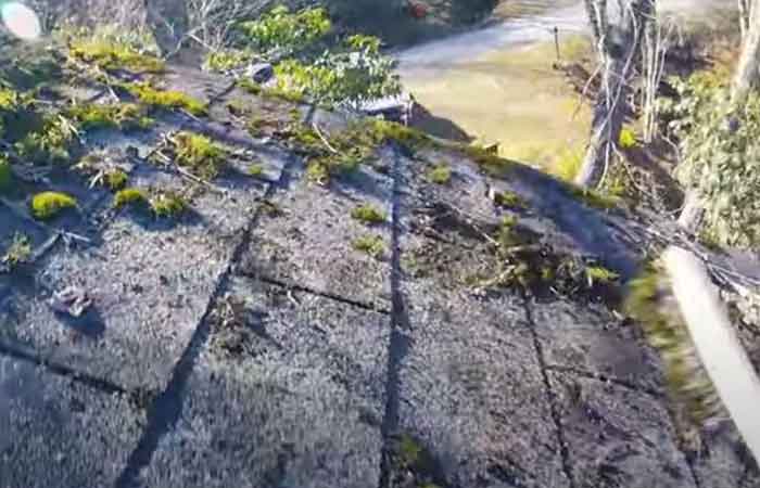 Scrubbing moss of roof