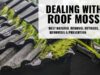 How to remove & prevemt moss on roof shingles and tiless