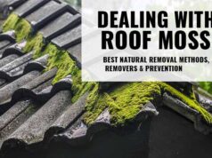 How to remove & prevemt moss on roof shingles and tiless