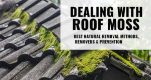 How to remove & prevemt moss on roof shingles and tiless