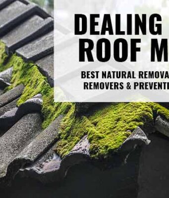 How to remove & prevemt moss on roof shingles and tiless