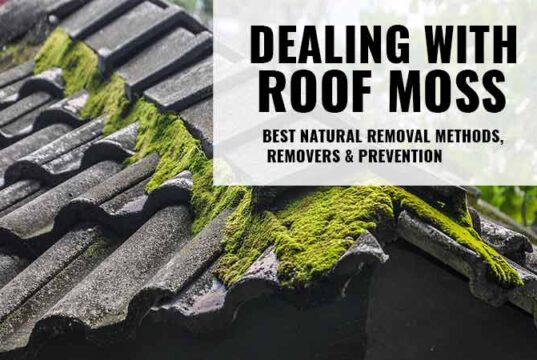 How to remove & prevemt moss on roof shingles and tiless