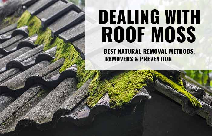 How To Prevent Moss On Roof Shingles