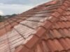 How to clean tile roofs: Steps, Tools & Solutions
