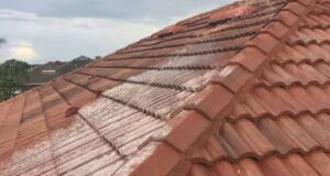 How to clean tile roofs: Steps, Tools & Solutions