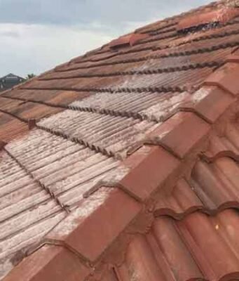 How to clean tile roofs: Steps, Tools & Solutions