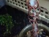 Rain chain drainage ideas