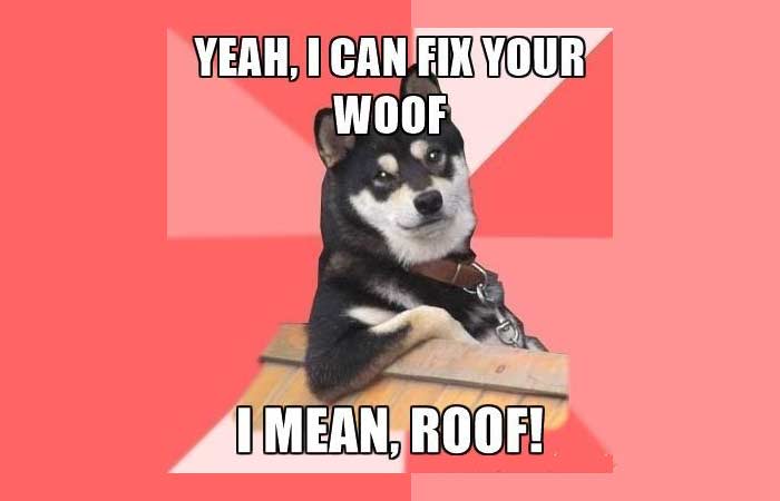 Dog roof fixer meme