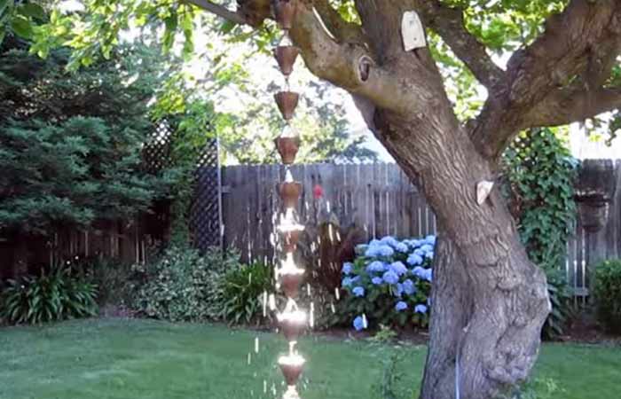 Rain Chain on tree