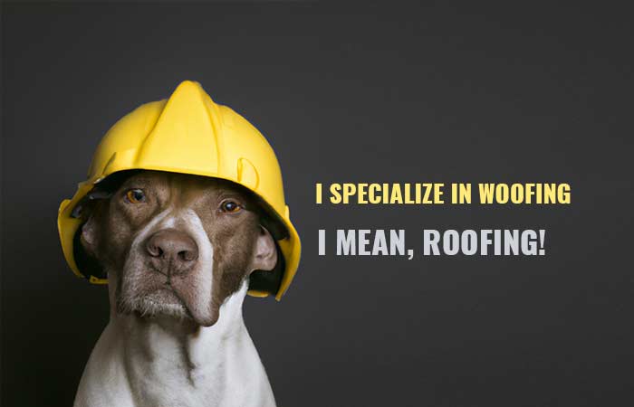 Dog Roofing Worker