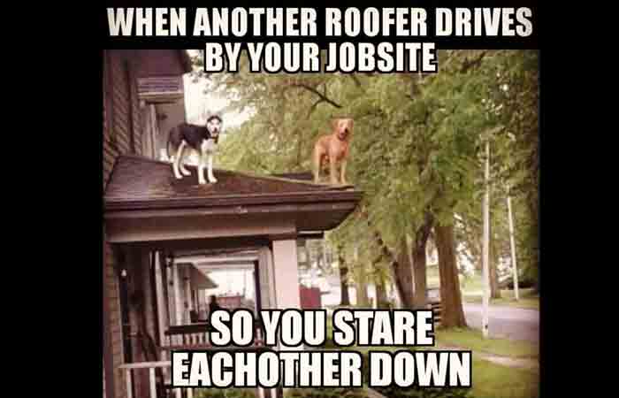 Job site roof meme